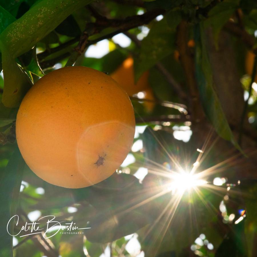 Finca Meerlust - Las Ballenas ลอสกาญอสเดเมกา ภายนอก รูปภาพ